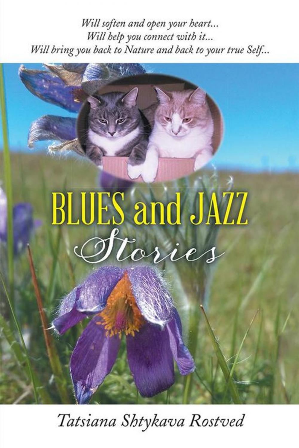 Big bigCover of Blues and Jazz Stories