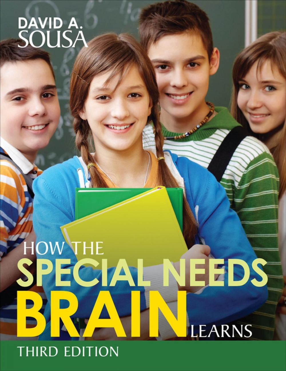 Big bigCover of How the Special Needs Brain Learns