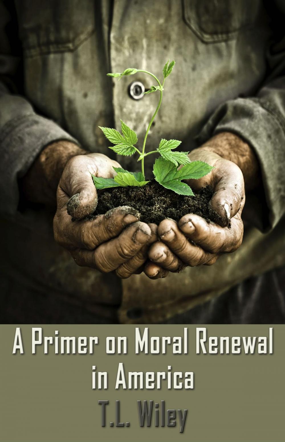 Big bigCover of A Primer on Moral Renewal in America