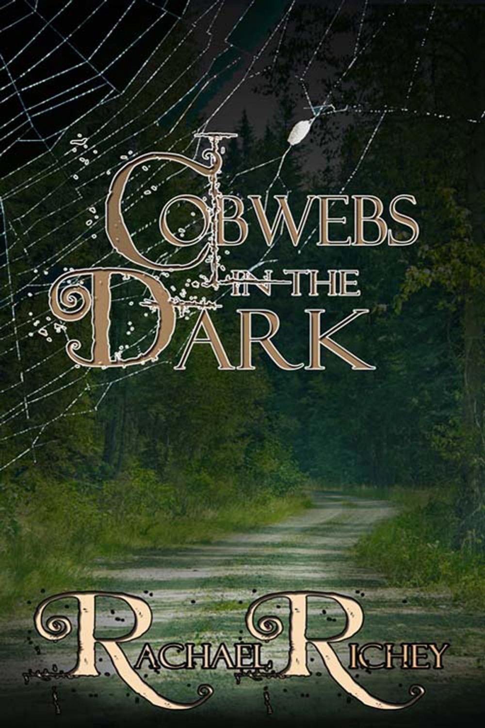 Big bigCover of Cobwebs in the Dark