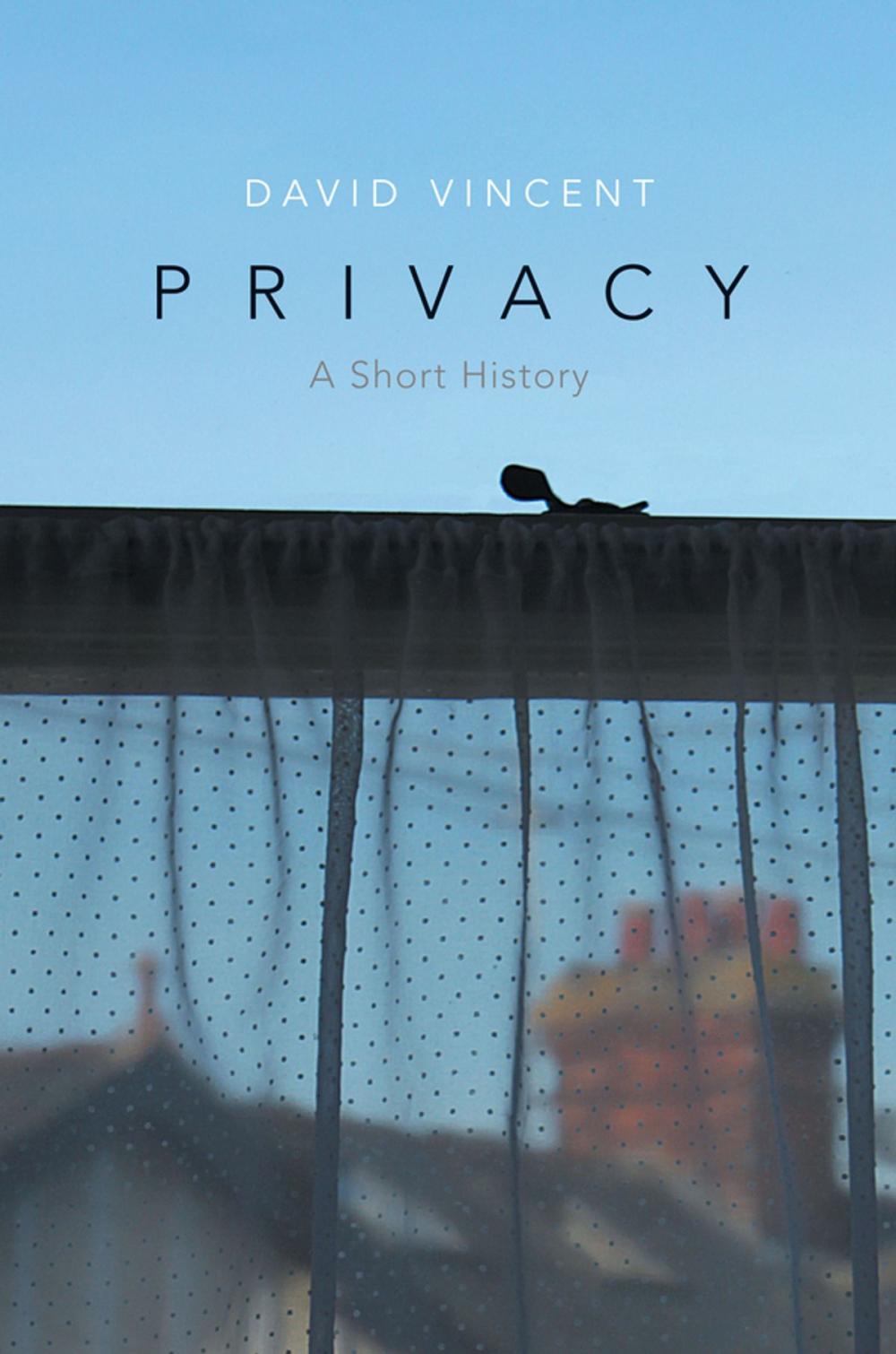 Big bigCover of Privacy