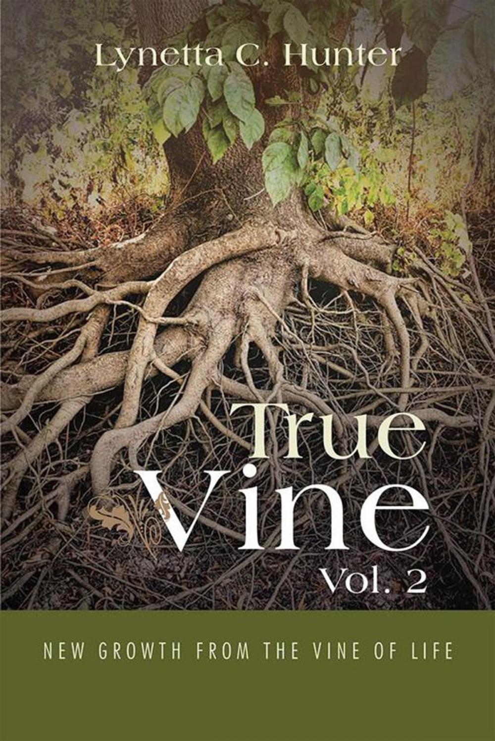 Big bigCover of True Vine Vol. 2