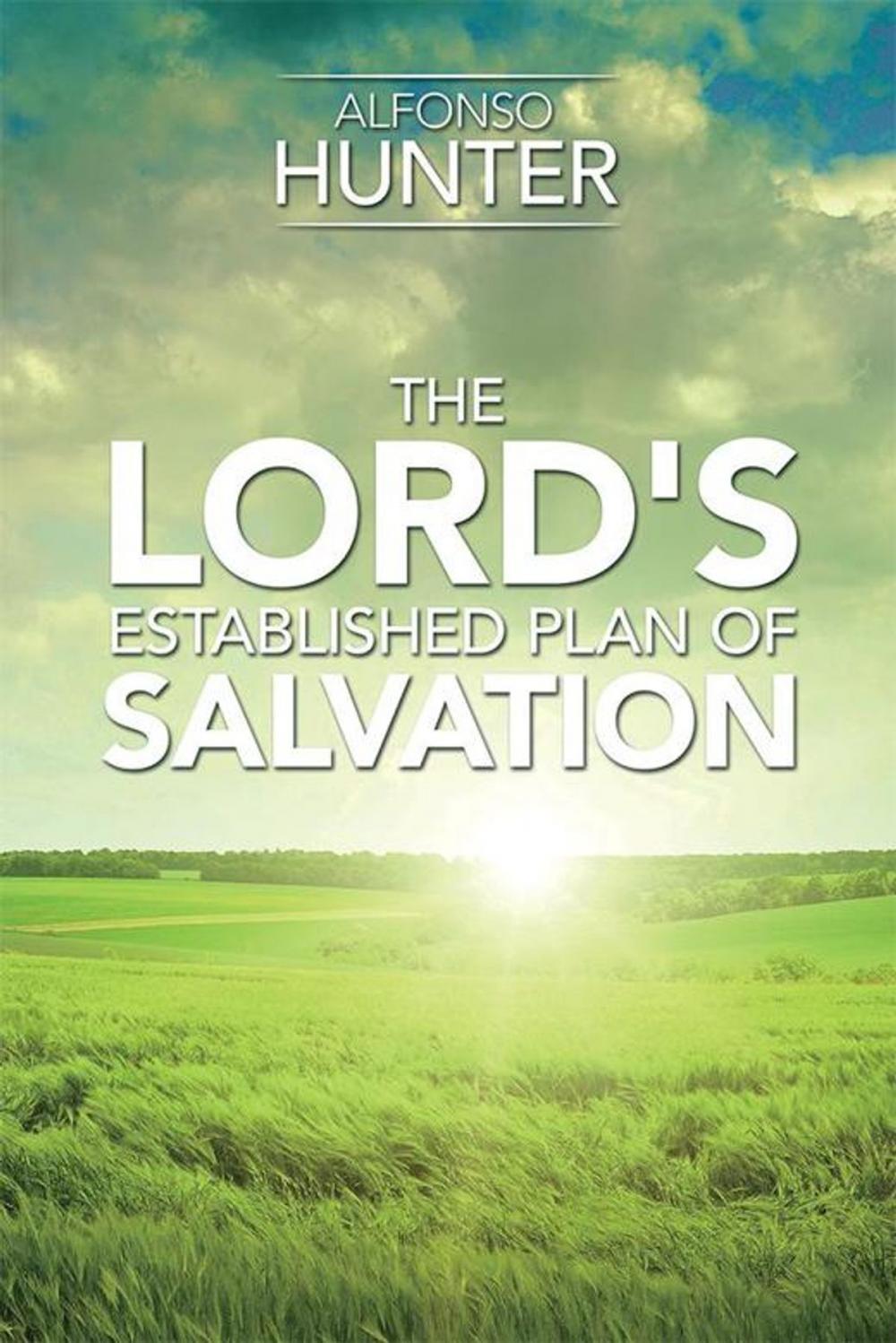 Big bigCover of The Lord's Established Plan of Salvation