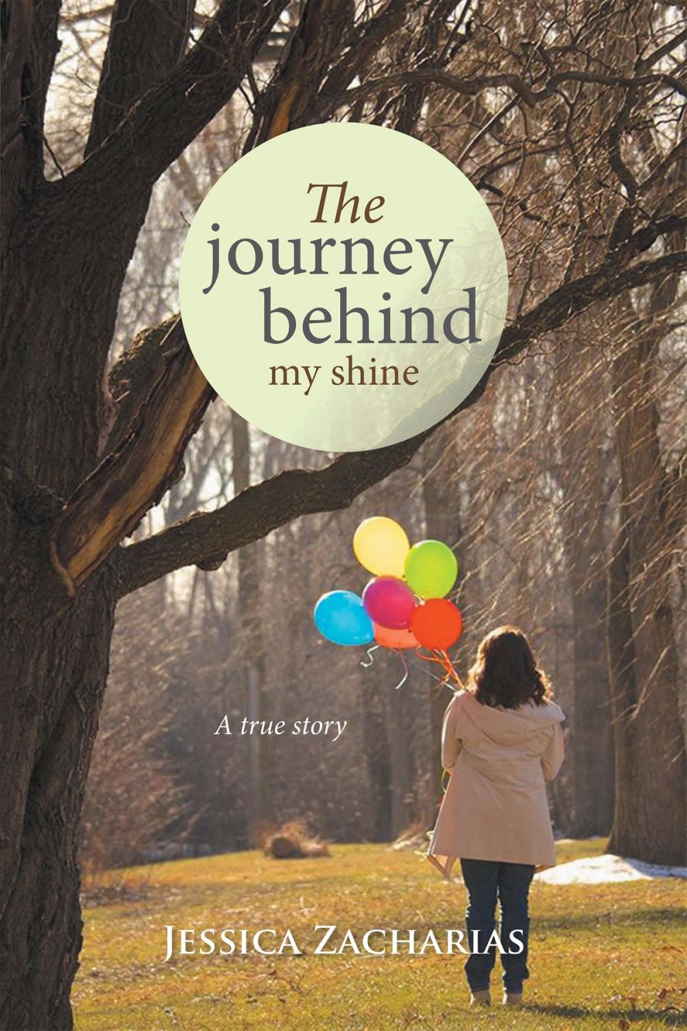 Big bigCover of The Journey Behind My Shine