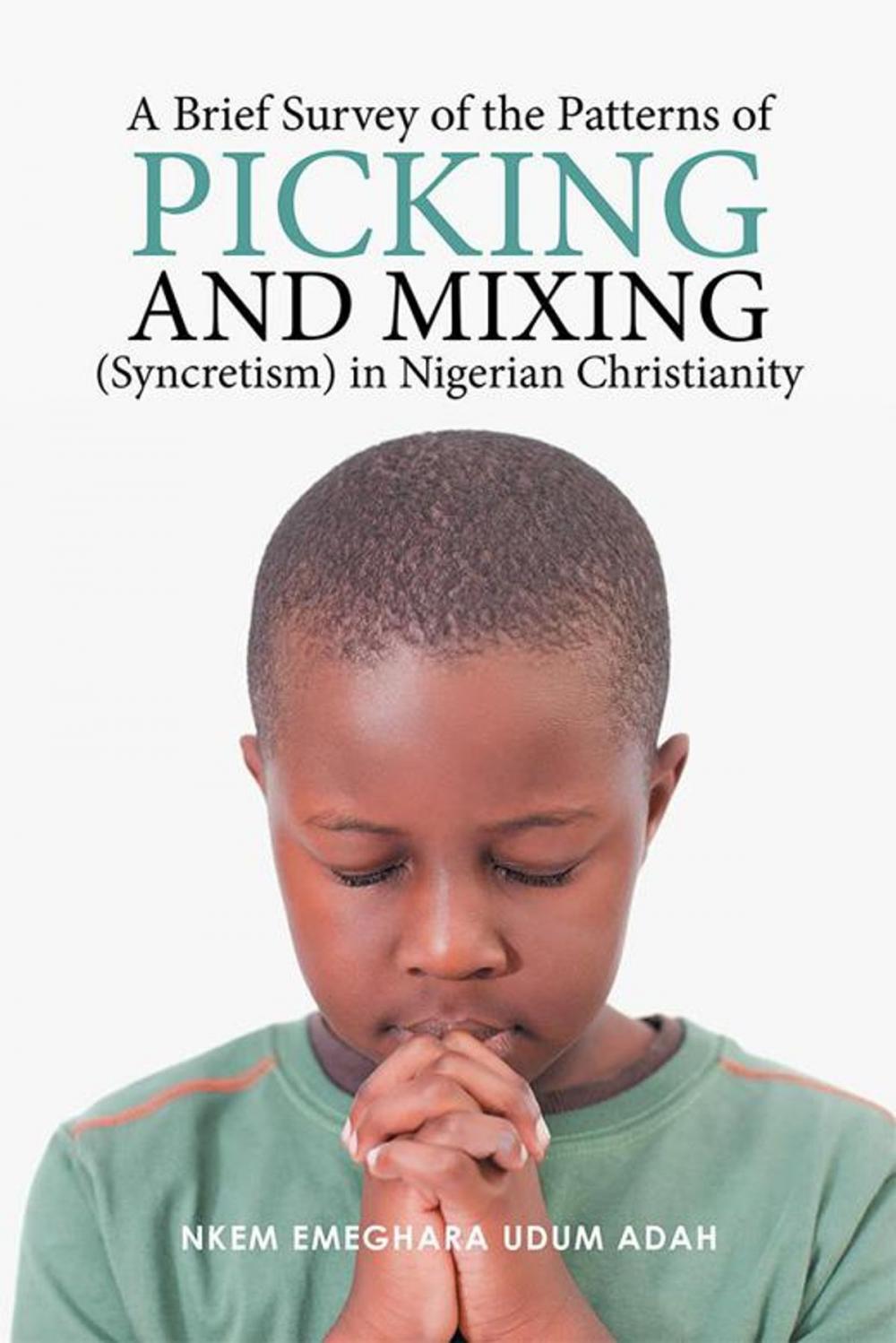 Big bigCover of A Brief Survey of the Patterns of Picking and Mixing (Syncretism) in Nigerian Christianity