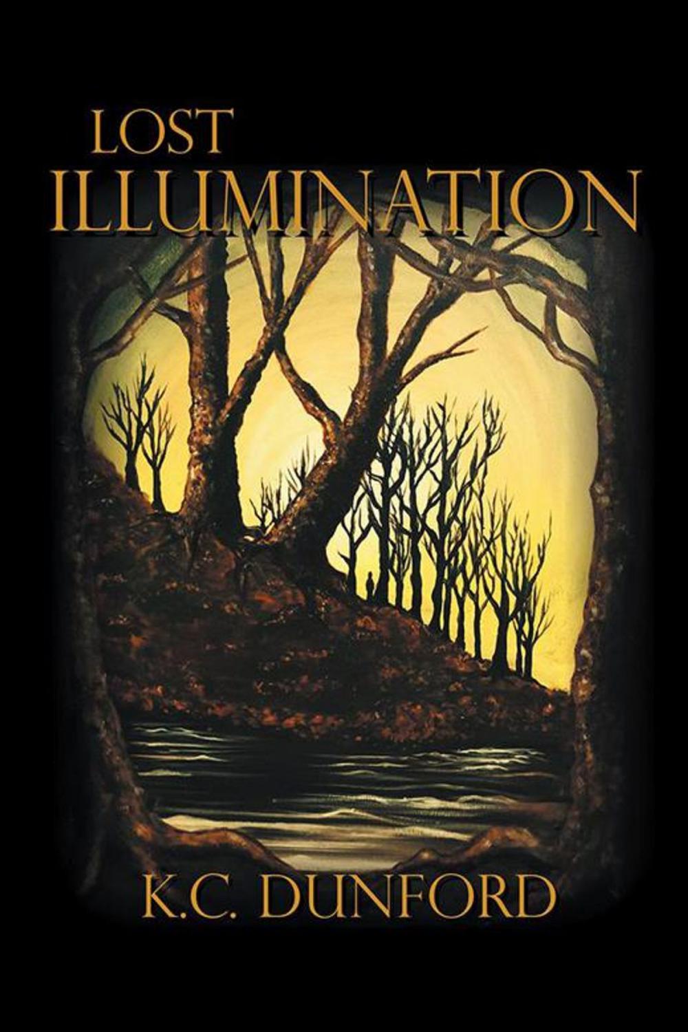 Big bigCover of Lost Illumination