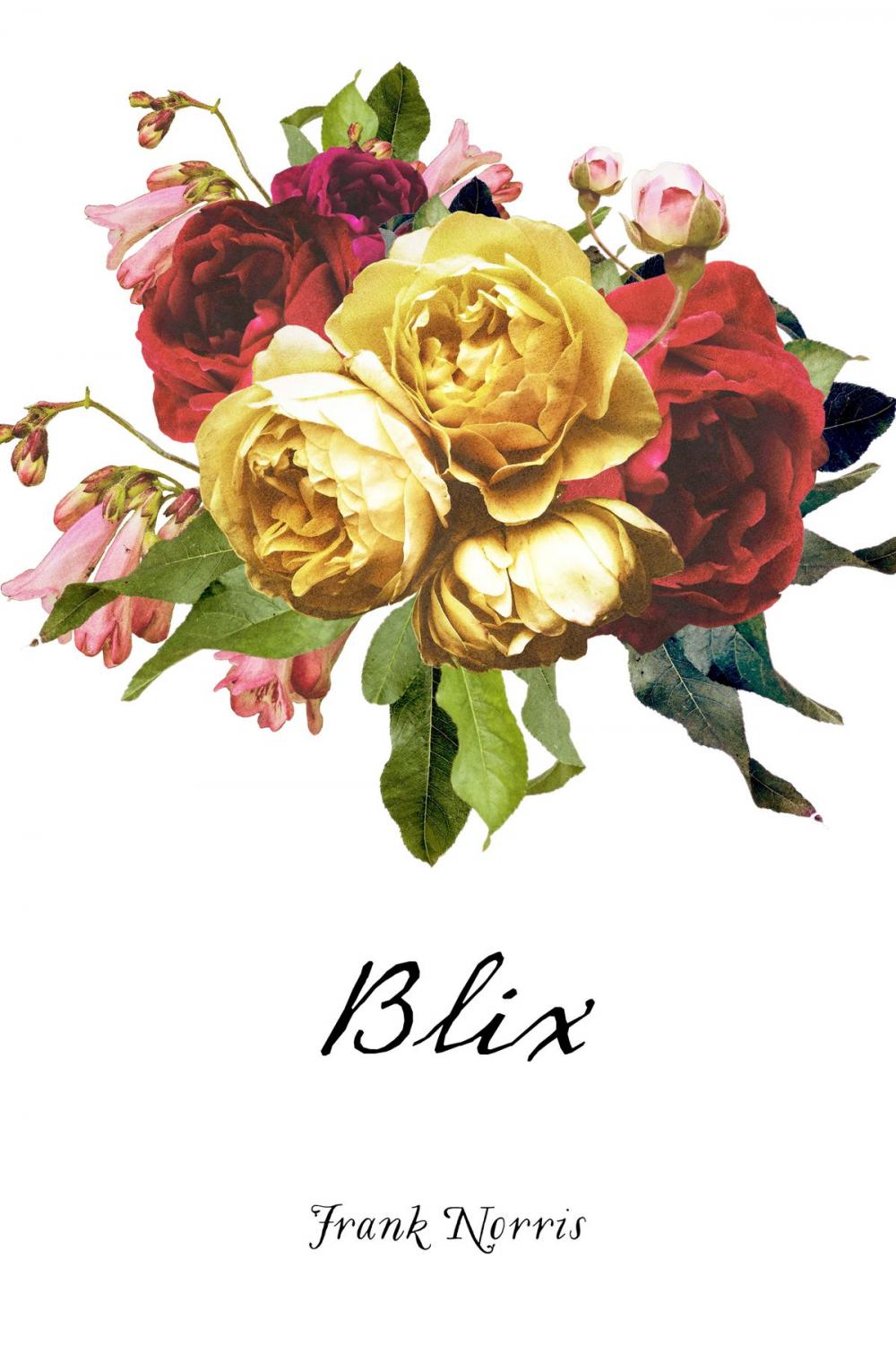 Big bigCover of Blix