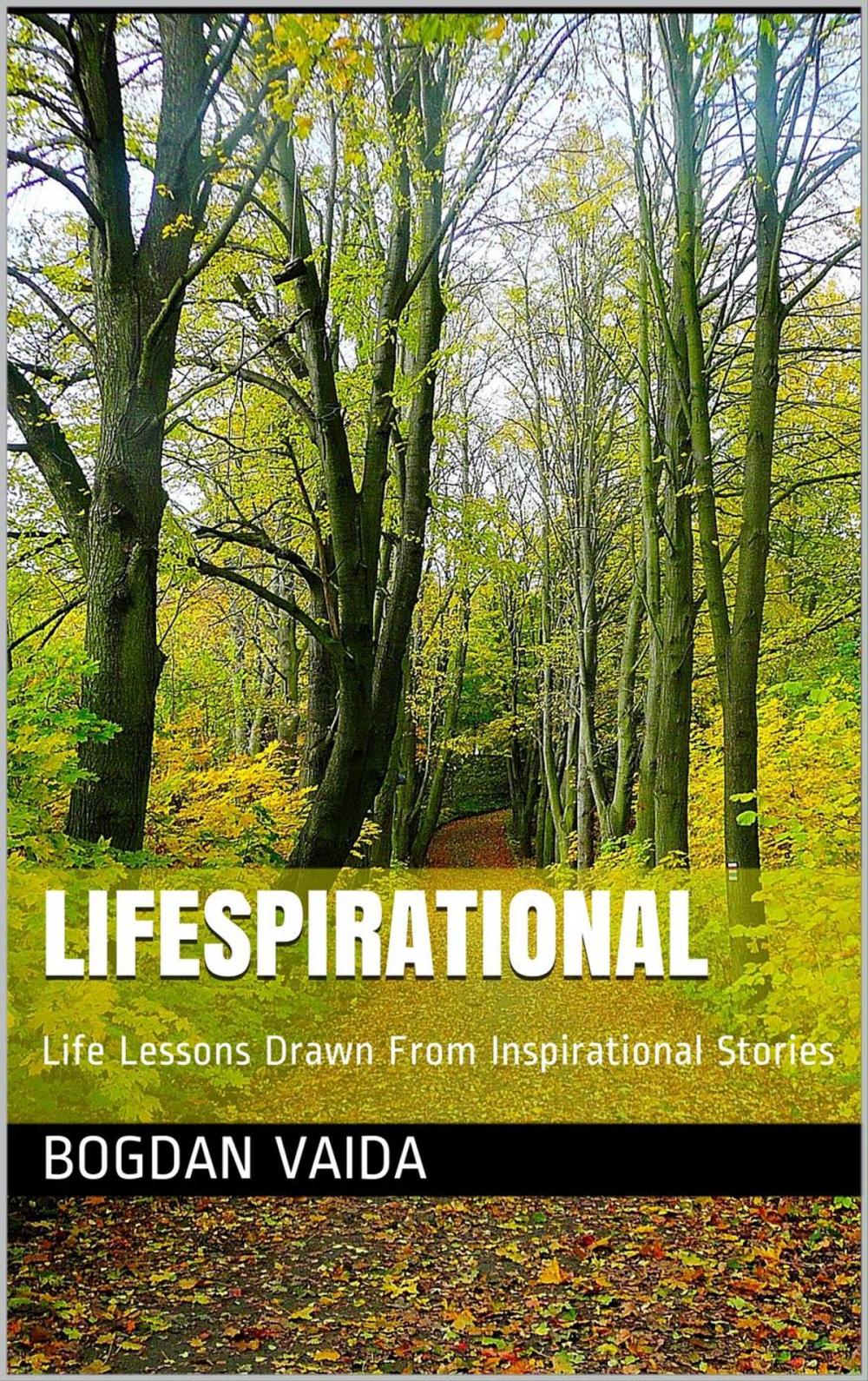 Big bigCover of Lifespirational