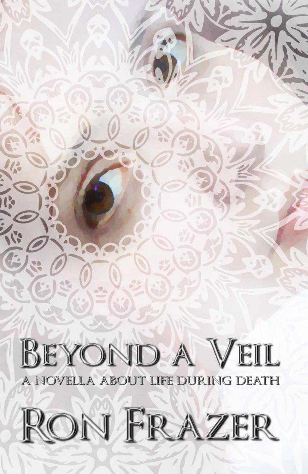 Big bigCover of Beyond a Veil: a novella about life during death