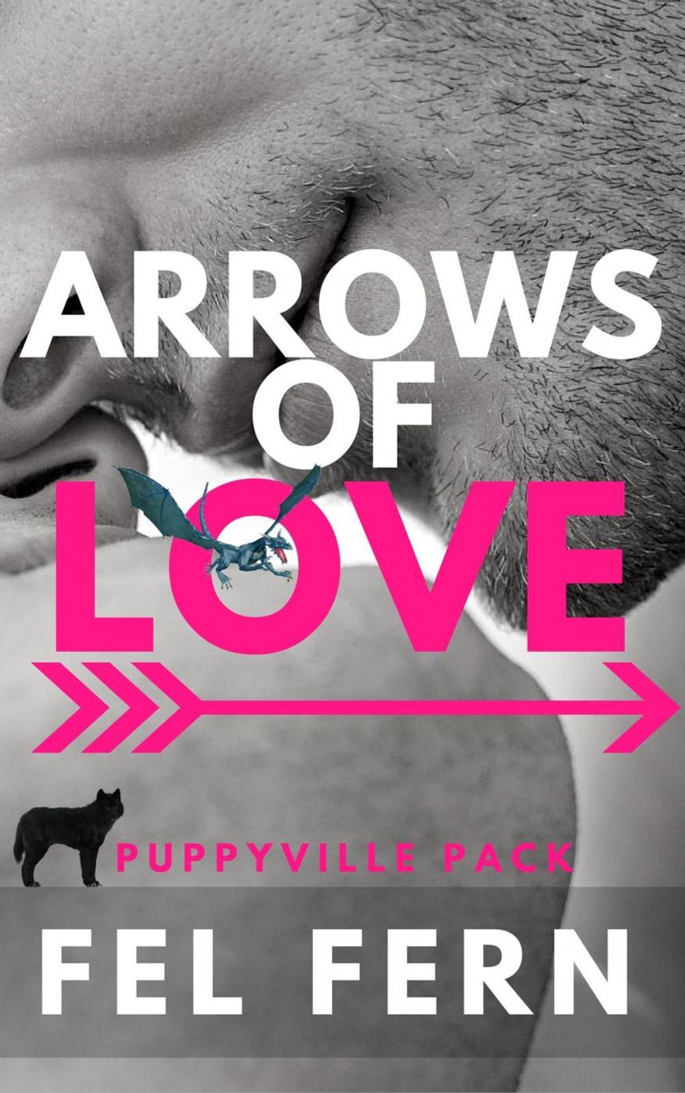 Big bigCover of Arrows of Love (Book 6.5)