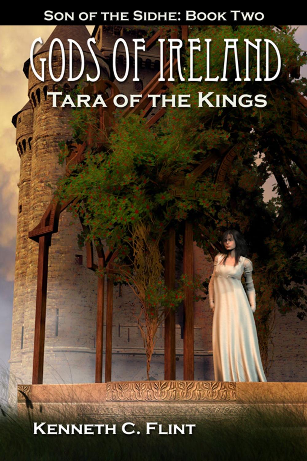 Big bigCover of Tara Of The Kings