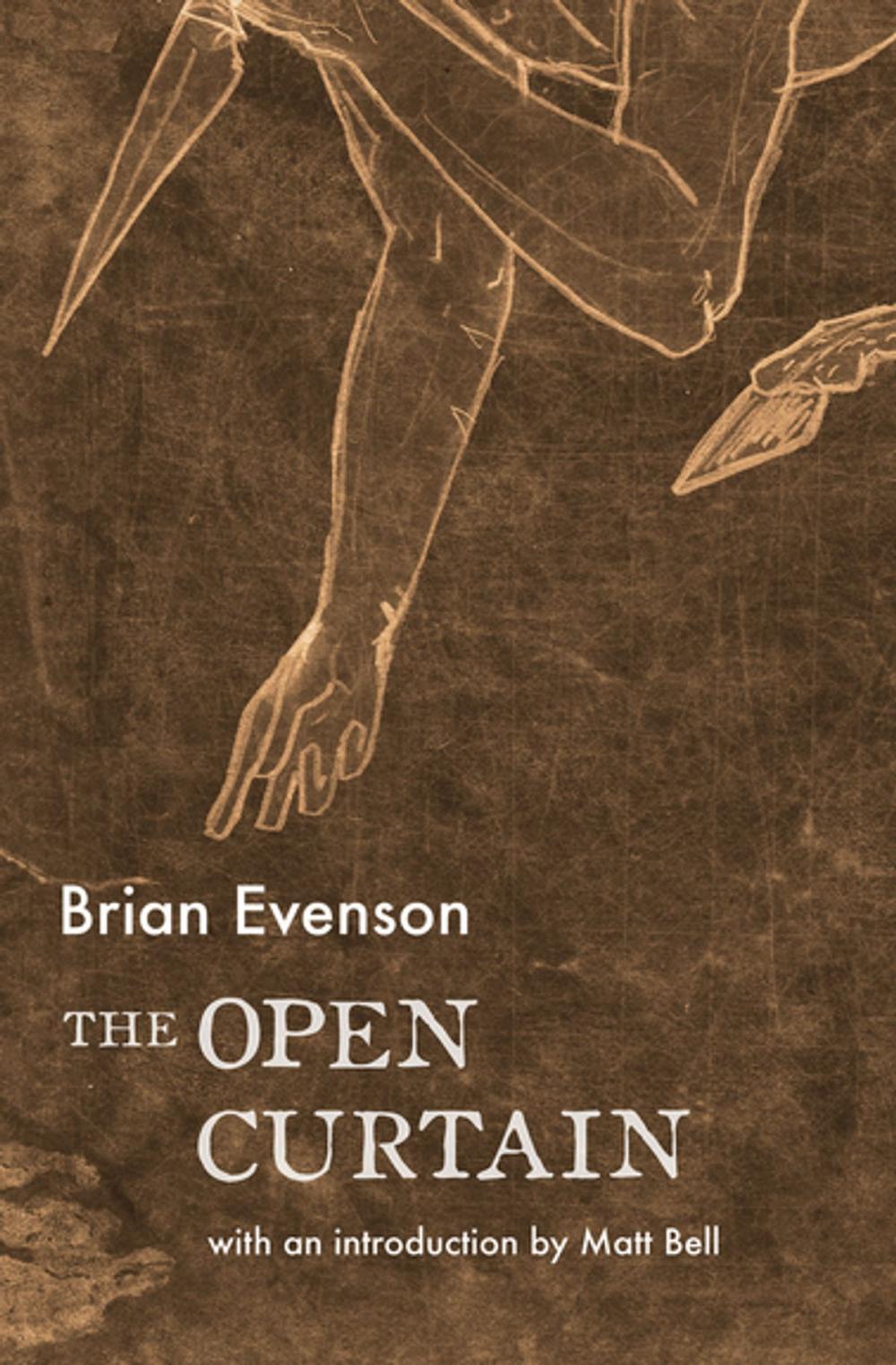 Big bigCover of The Open Curtain