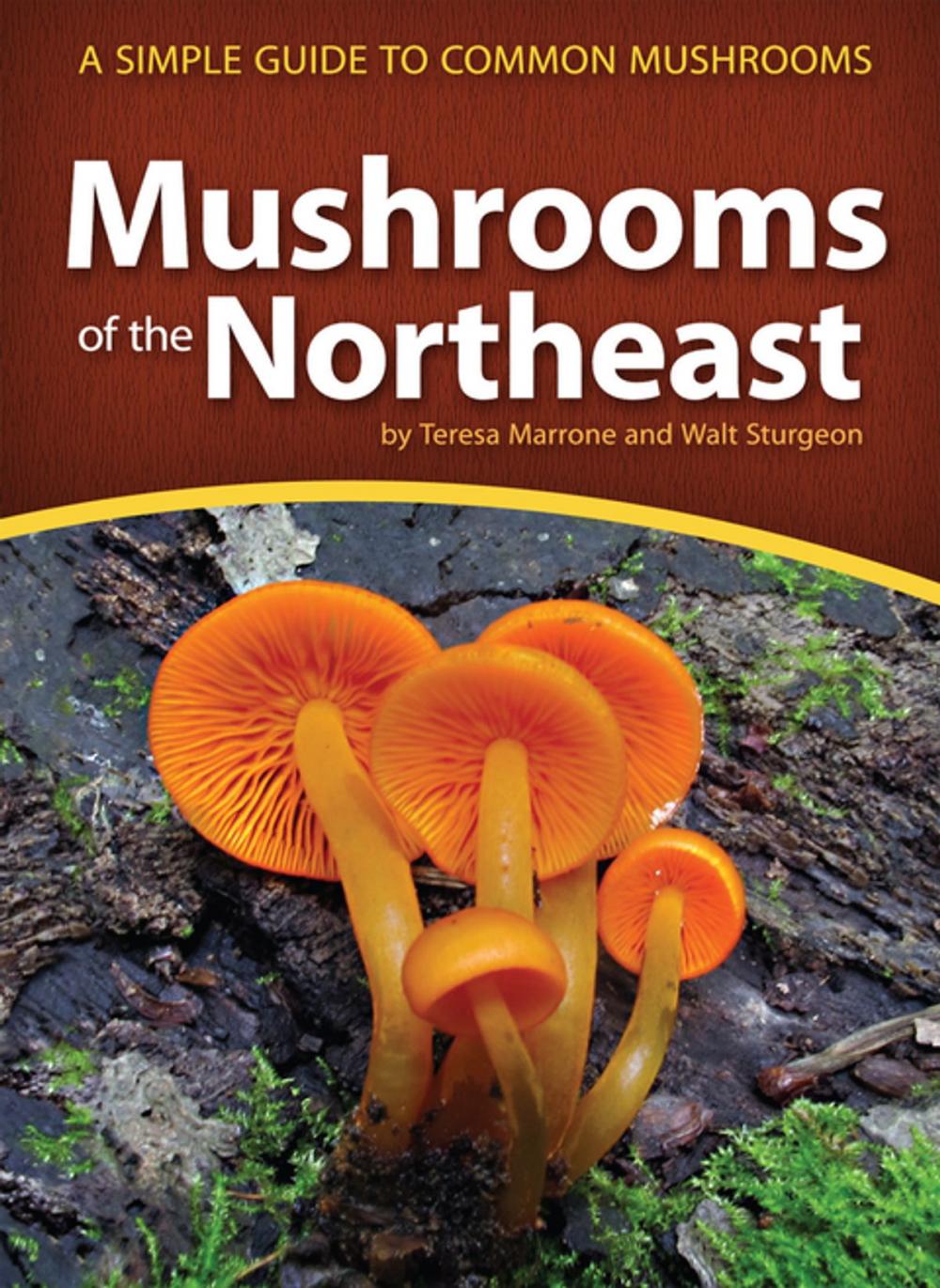 Big bigCover of Mushrooms of the Northeast