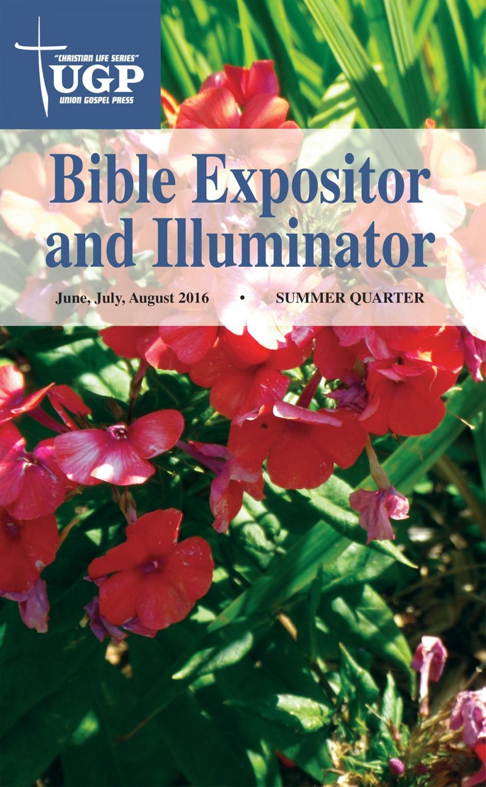 Big bigCover of Bible Expositor and Illuminator