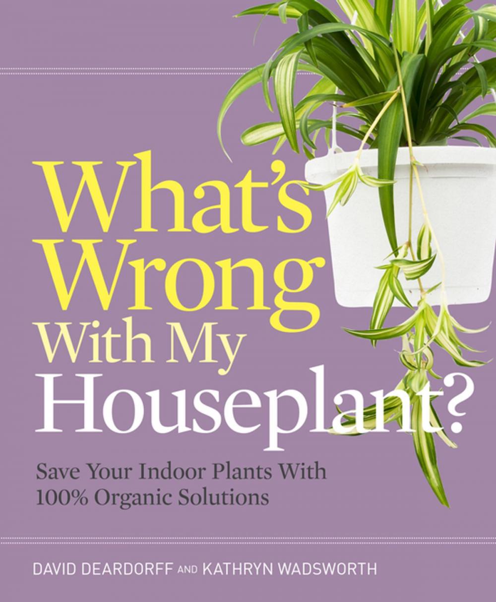 Big bigCover of What's Wrong With My Houseplant?