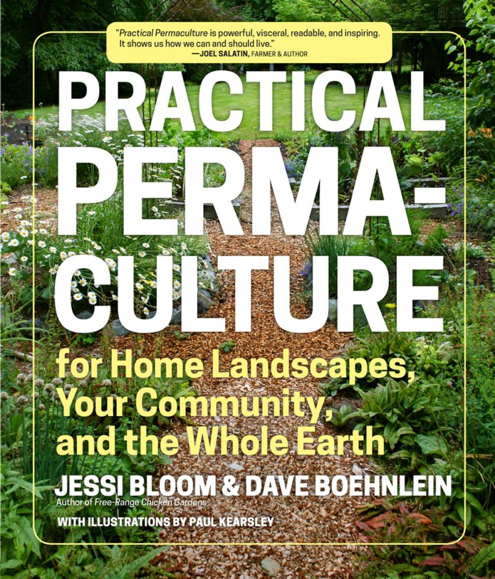 Big bigCover of Practical Permaculture