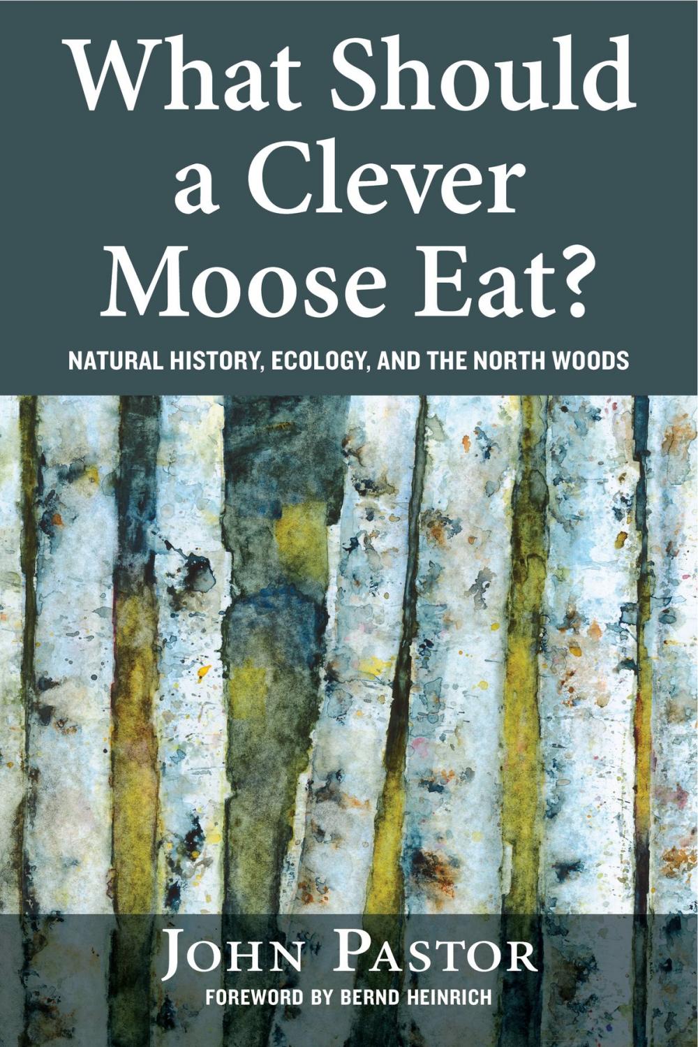 Big bigCover of What Should a Clever Moose Eat?