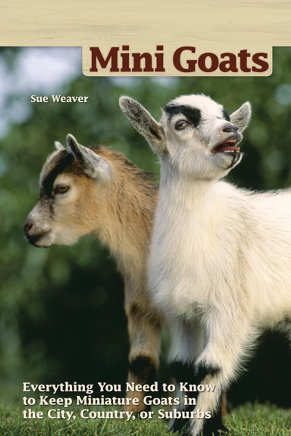 Big bigCover of Mini Goats