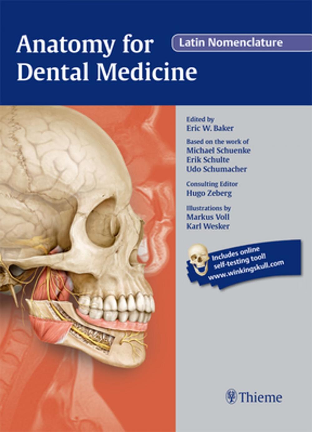 Big bigCover of Anatomy for Dental Medicine, Latin Nomenclature