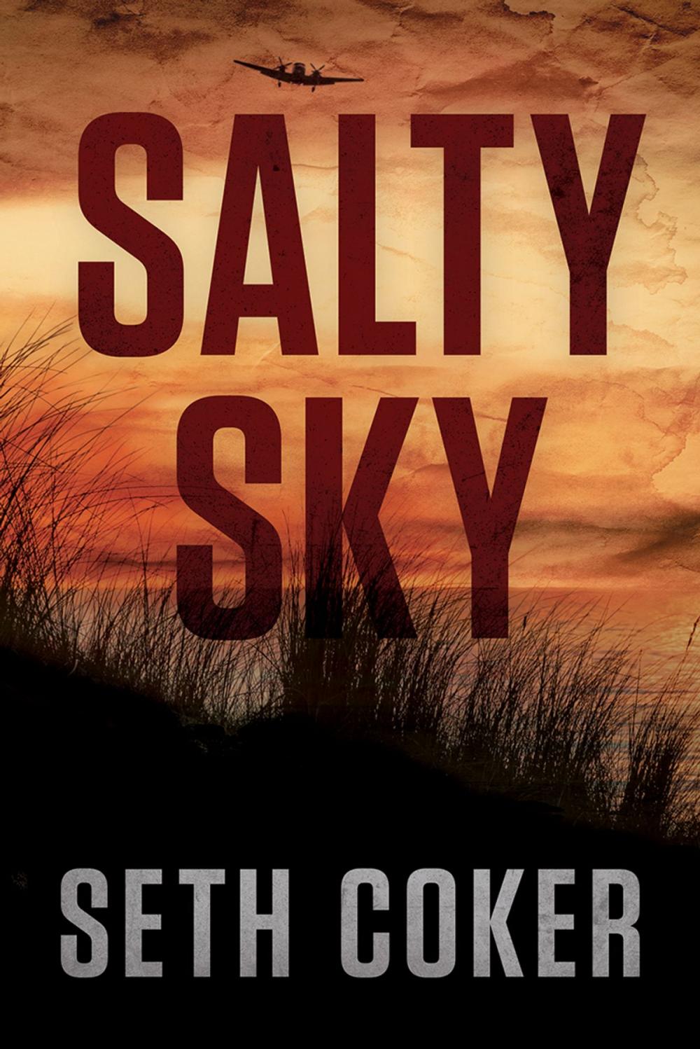 Big bigCover of Salty Sky