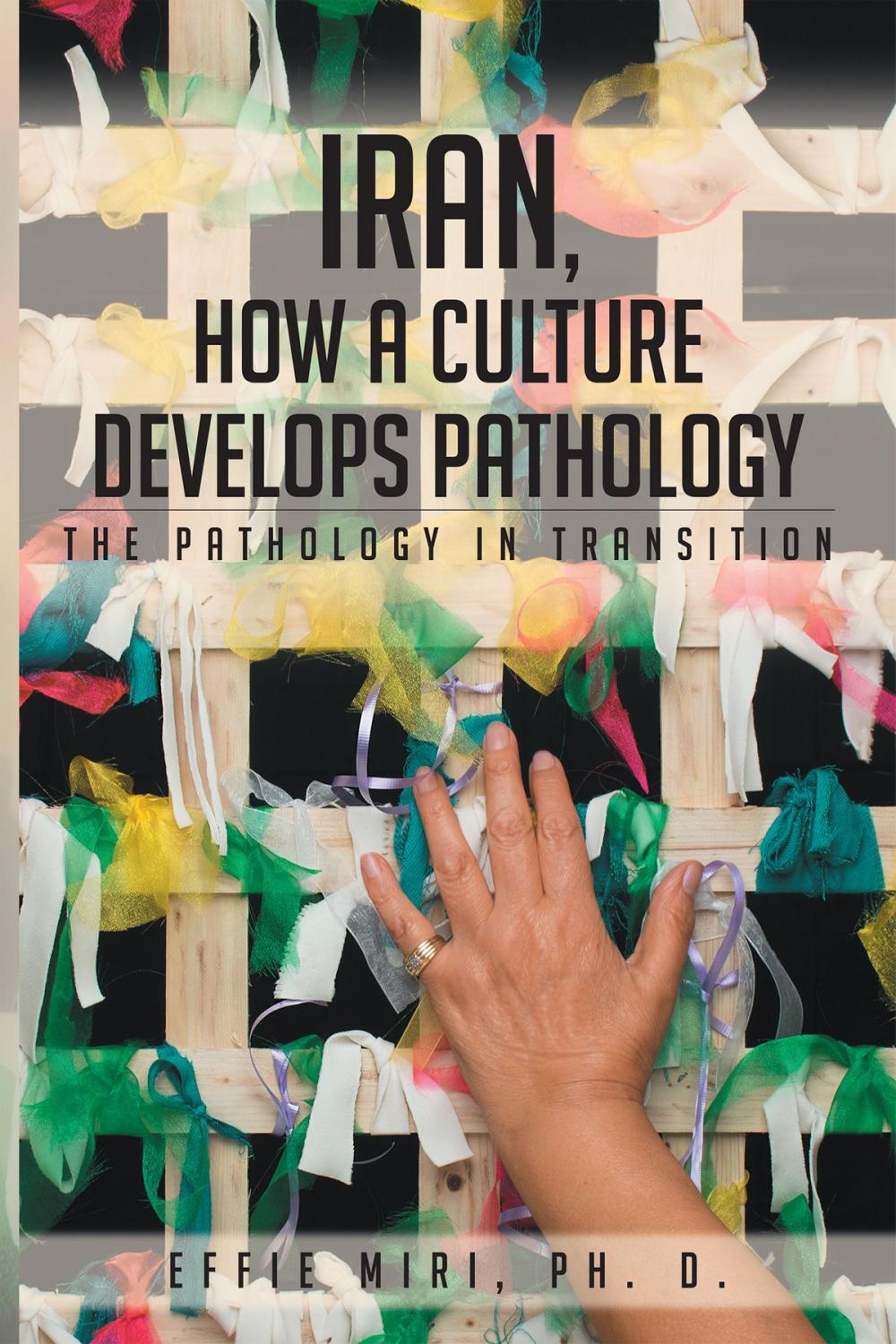 Big bigCover of Iran, How a Culture Develops Pathology: The Pathology in Transition