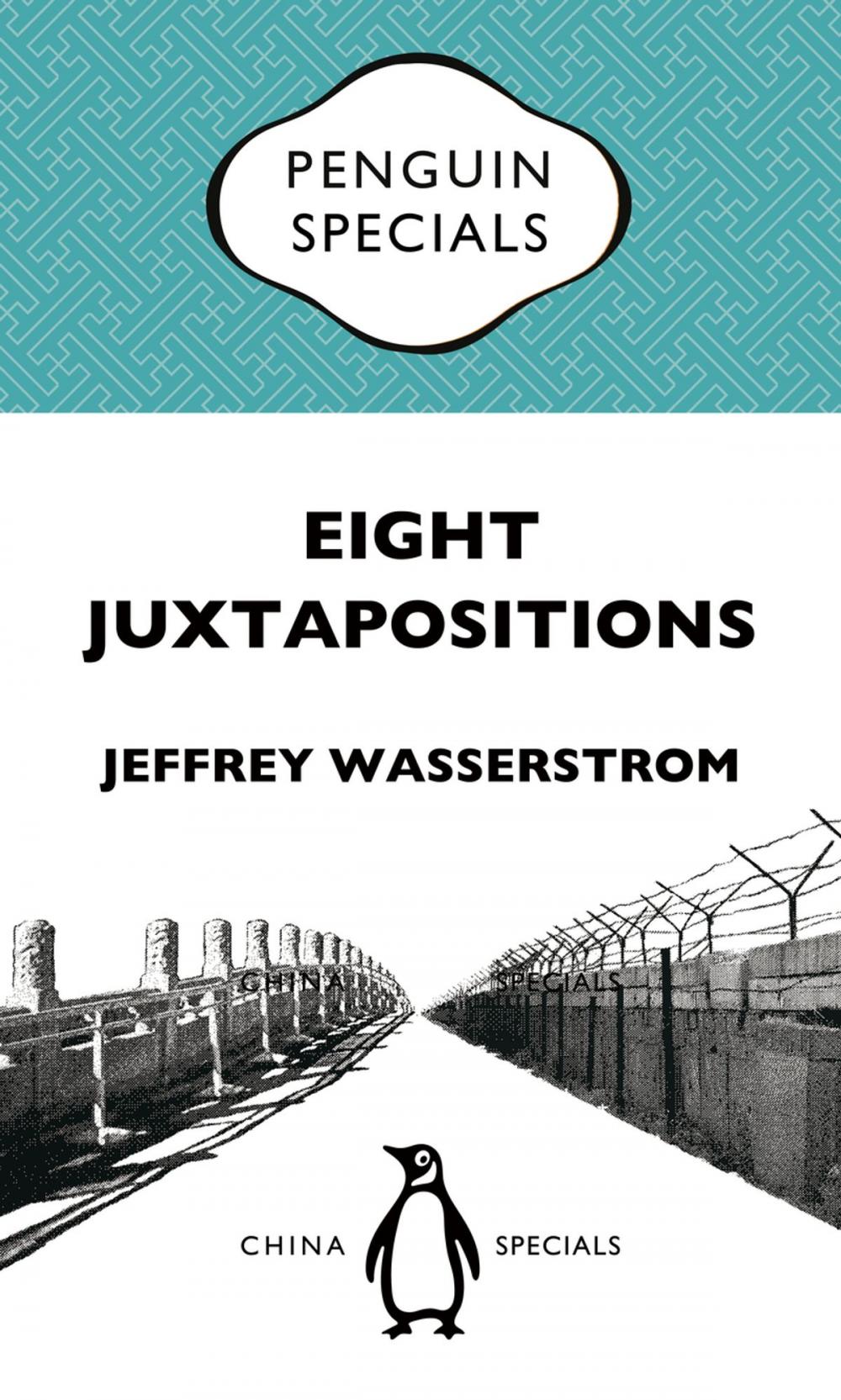 Big bigCover of Eight Juxtapositions