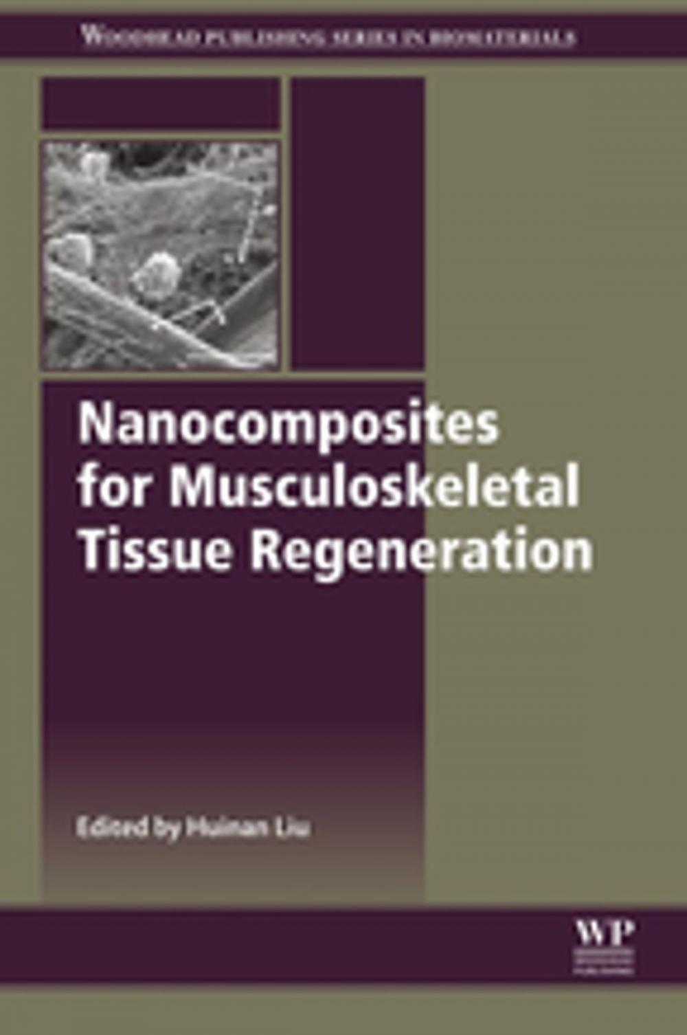 Big bigCover of Nanocomposites for Musculoskeletal Tissue Regeneration