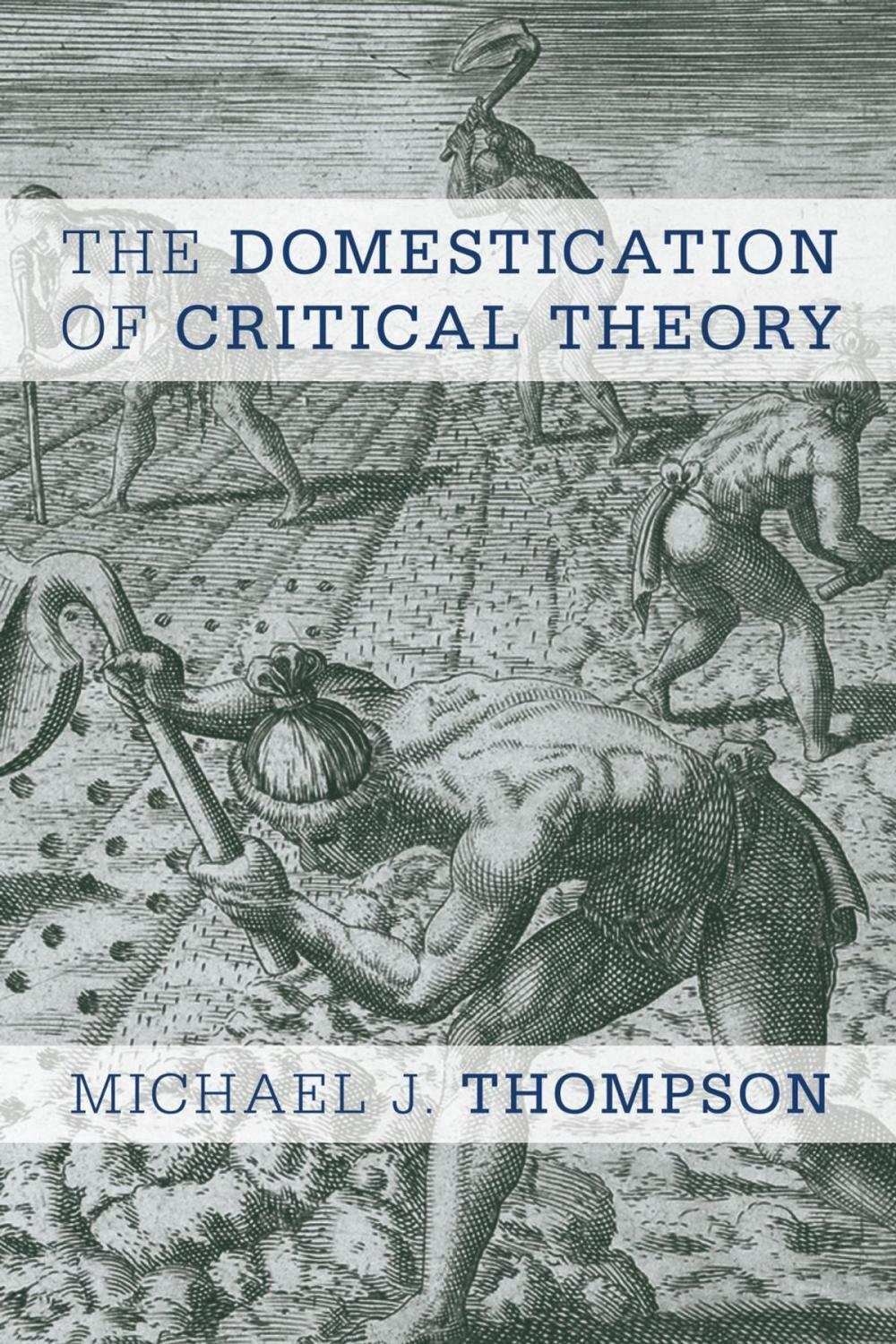 Big bigCover of The Domestication of Critical Theory