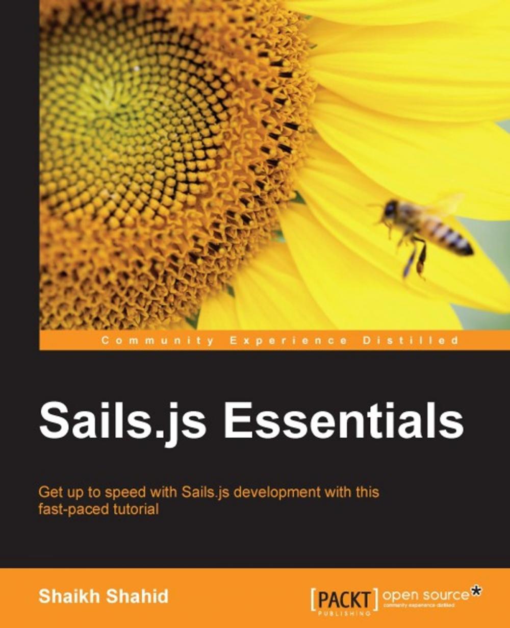 Big bigCover of Sails.js Essentials