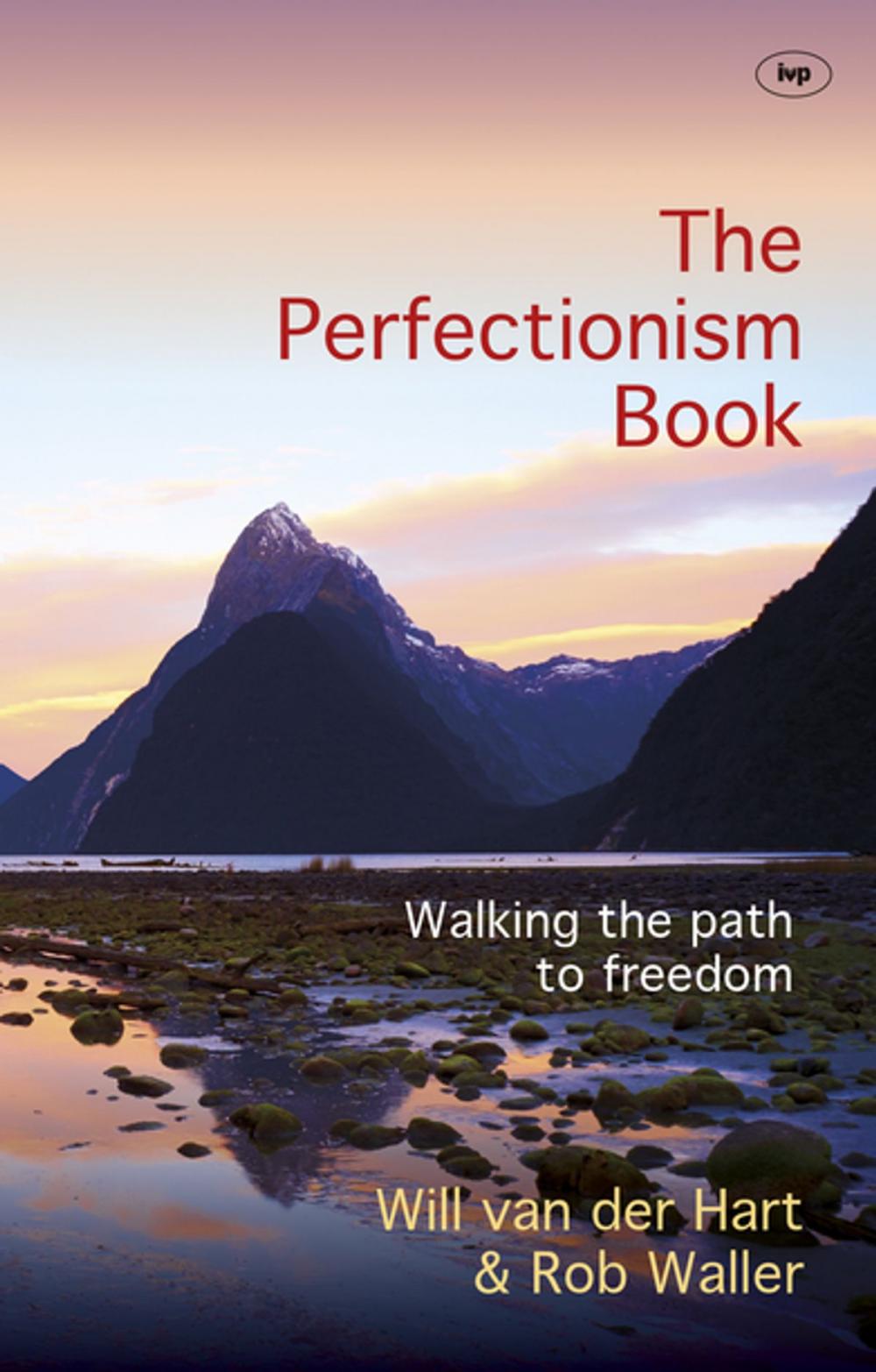 Big bigCover of The Perfectionism Book