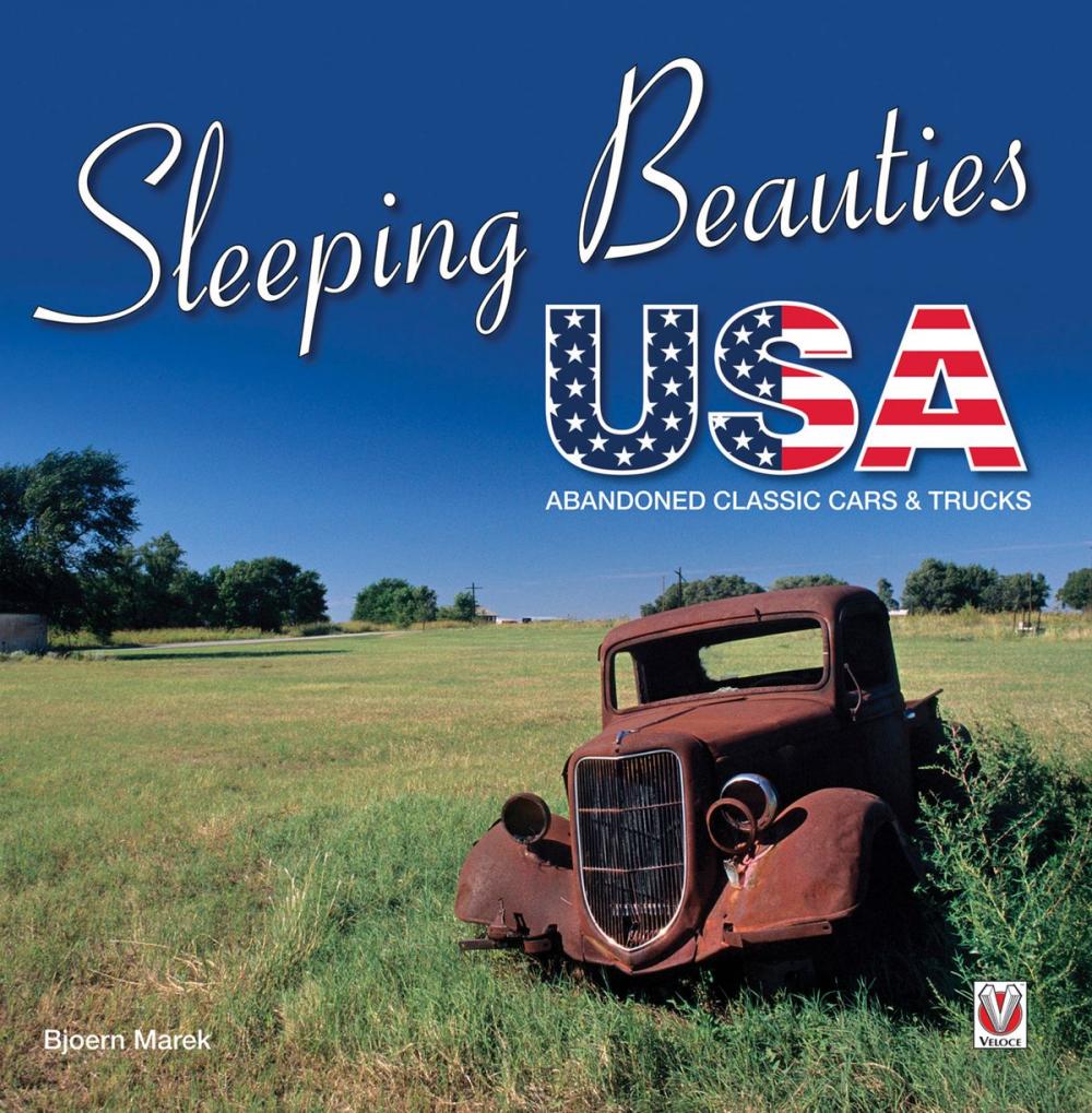 Big bigCover of Sleeping Beauties USA