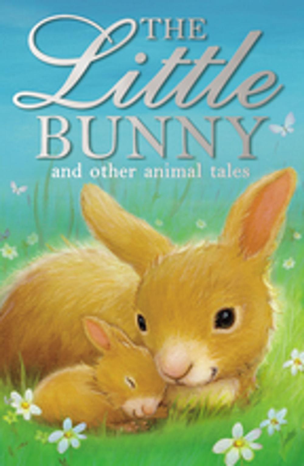 Big bigCover of The Little Bunny