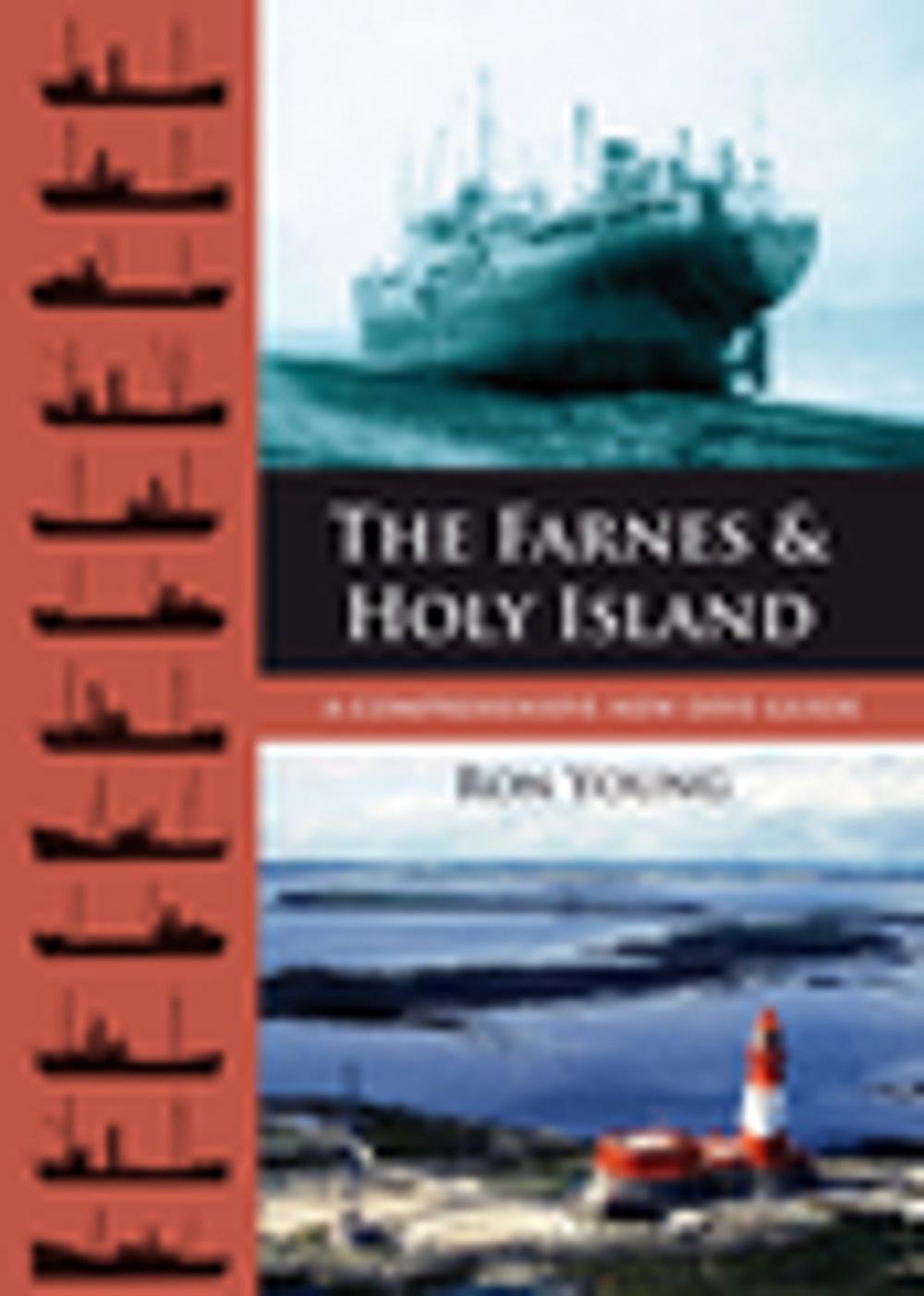 Big bigCover of The Farnes and Holy Island