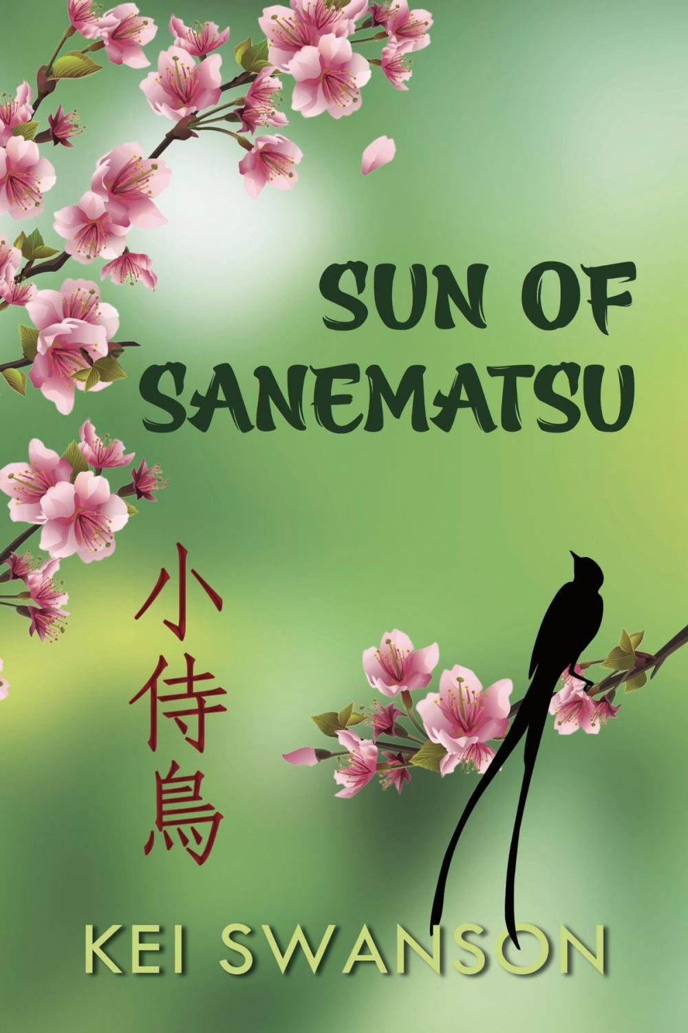 Big bigCover of Sun of Sanematsu