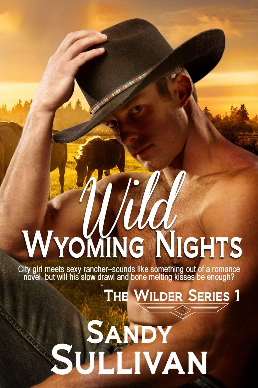 Big bigCover of Wild Wyoming Nights