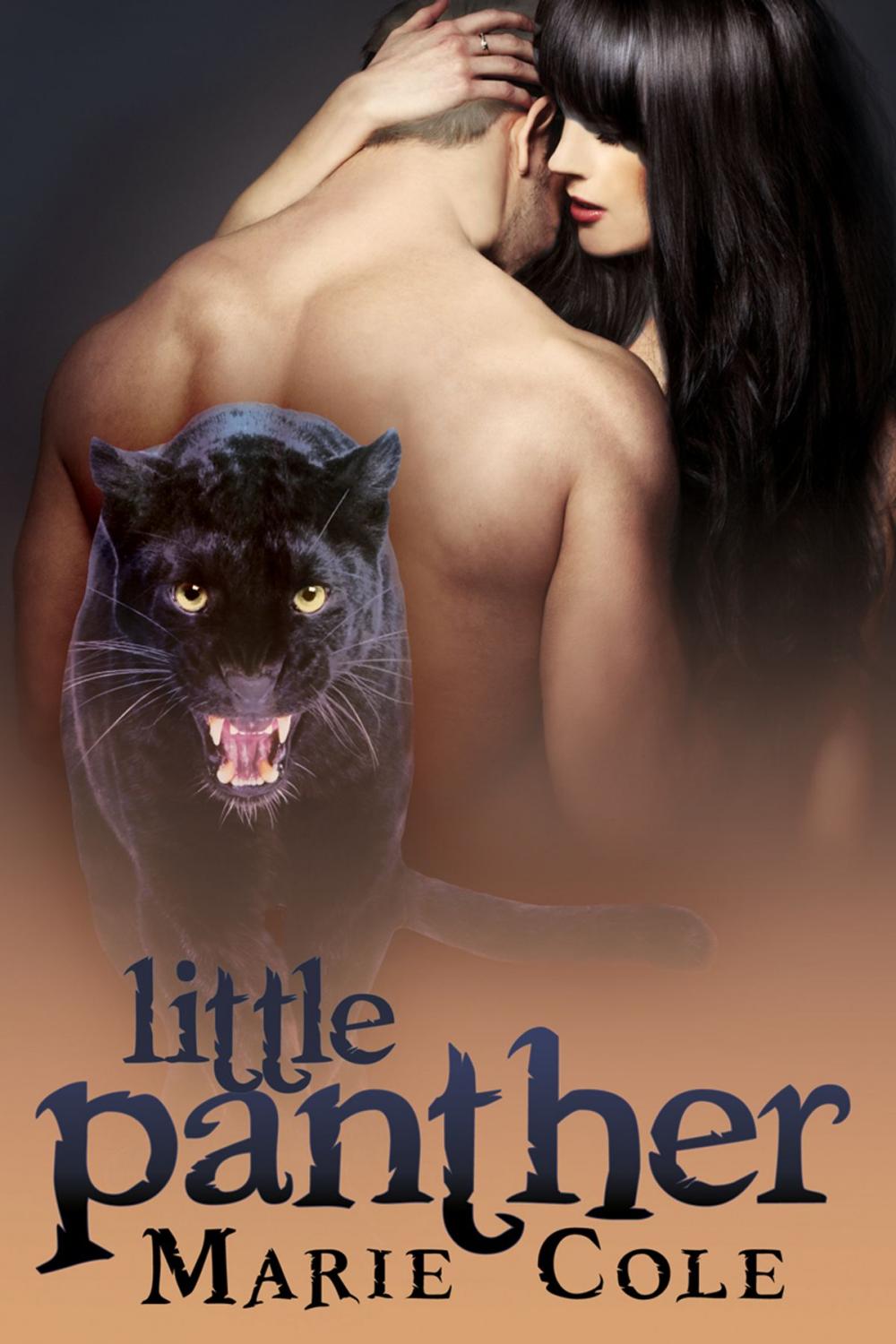 Big bigCover of Little Panther