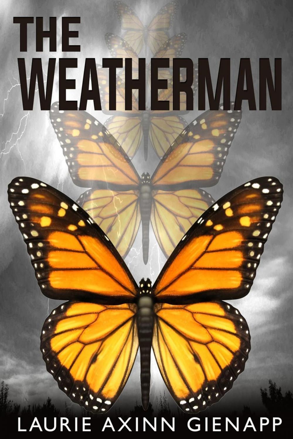 Big bigCover of The Weatherman