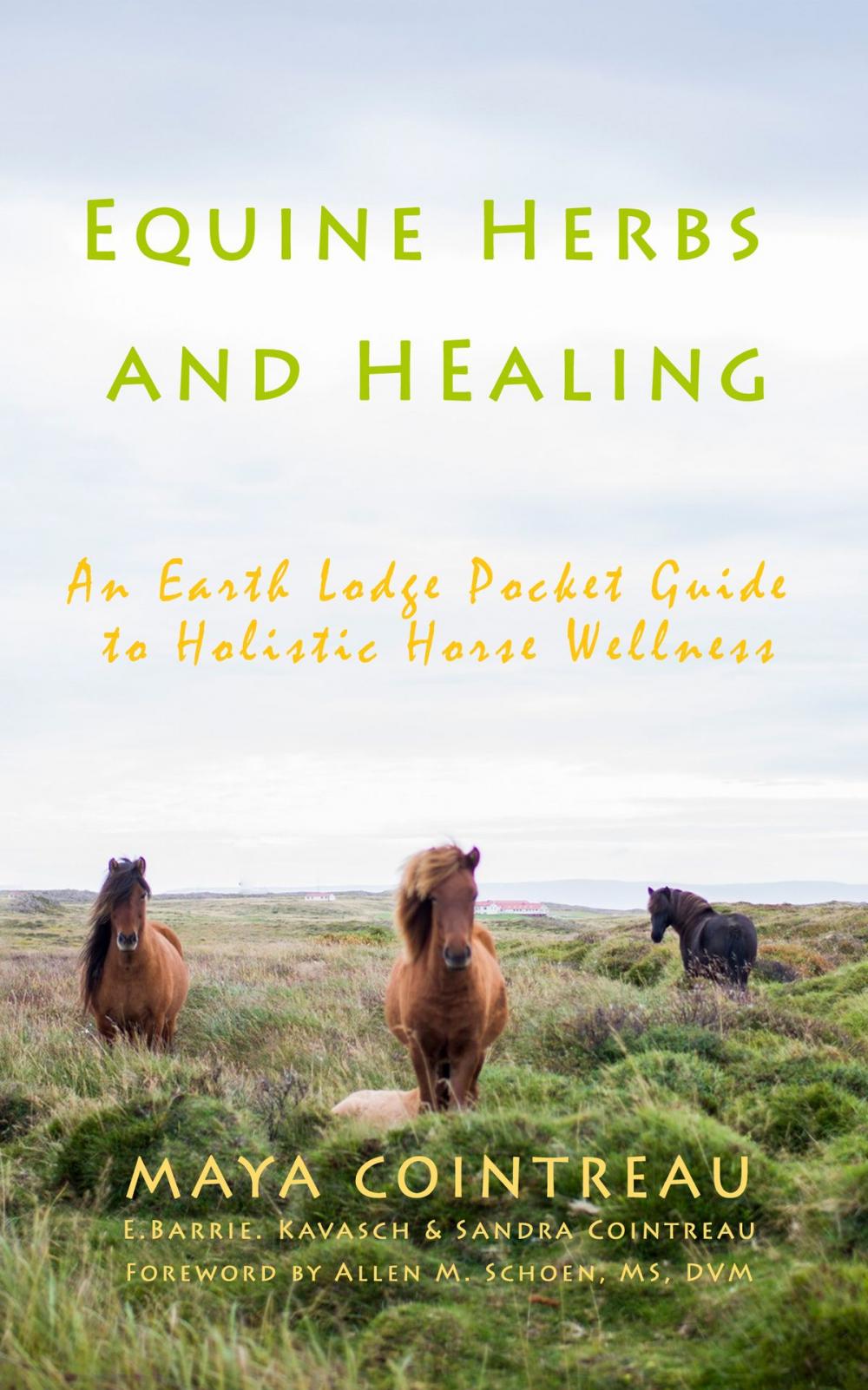 Big bigCover of Equine Herbs & Healing: An Earth Lodge Pocket Guide to Holistic Horse Wellness