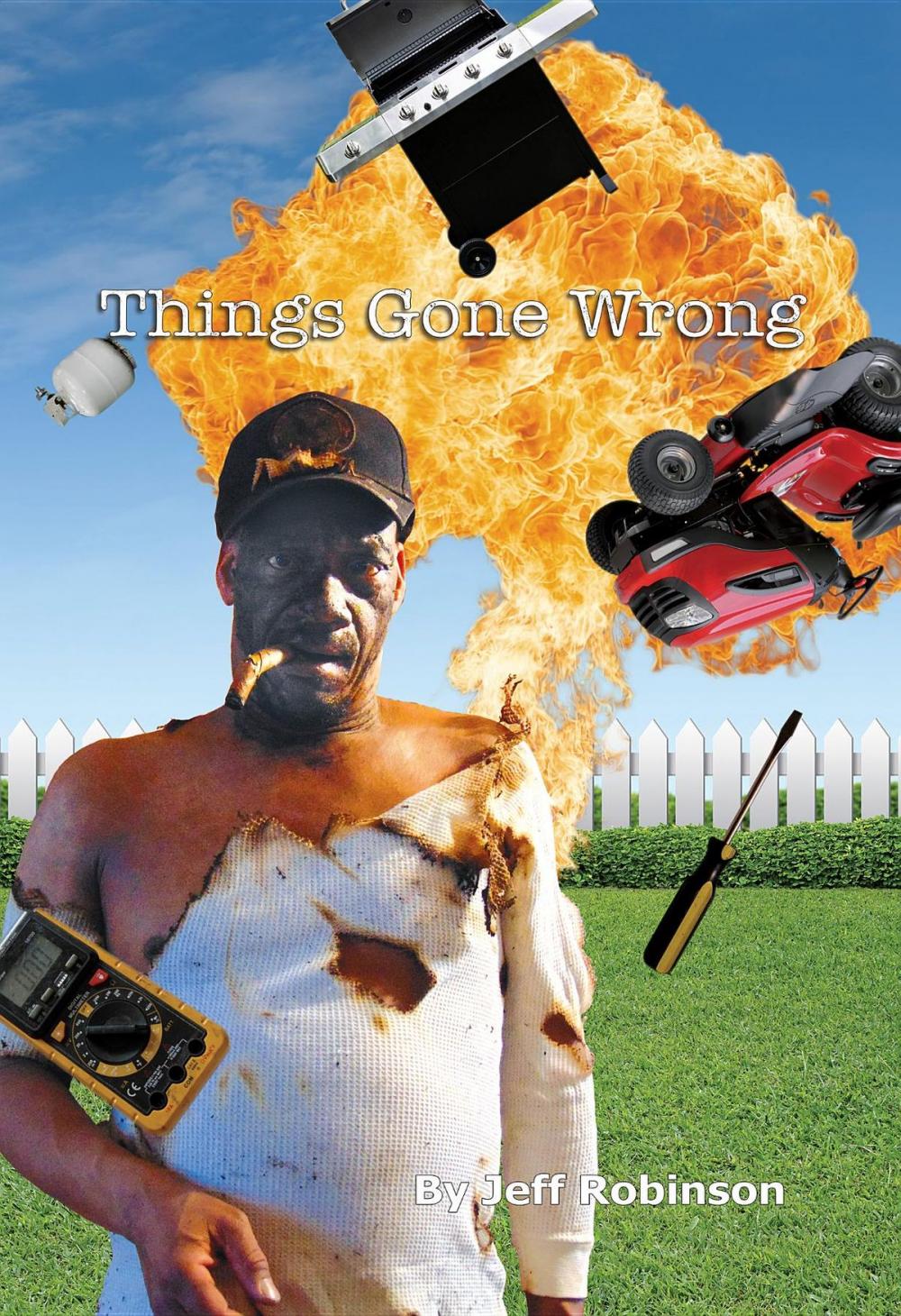 Big bigCover of Things Gone Wrong