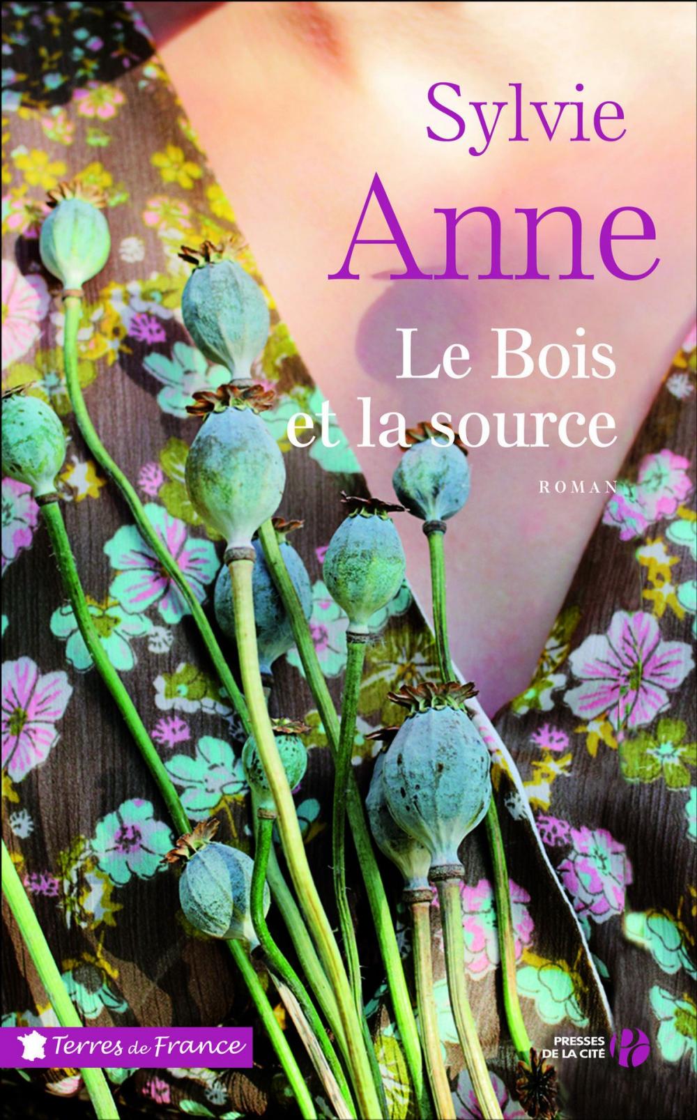 Big bigCover of Le Bois et la Source