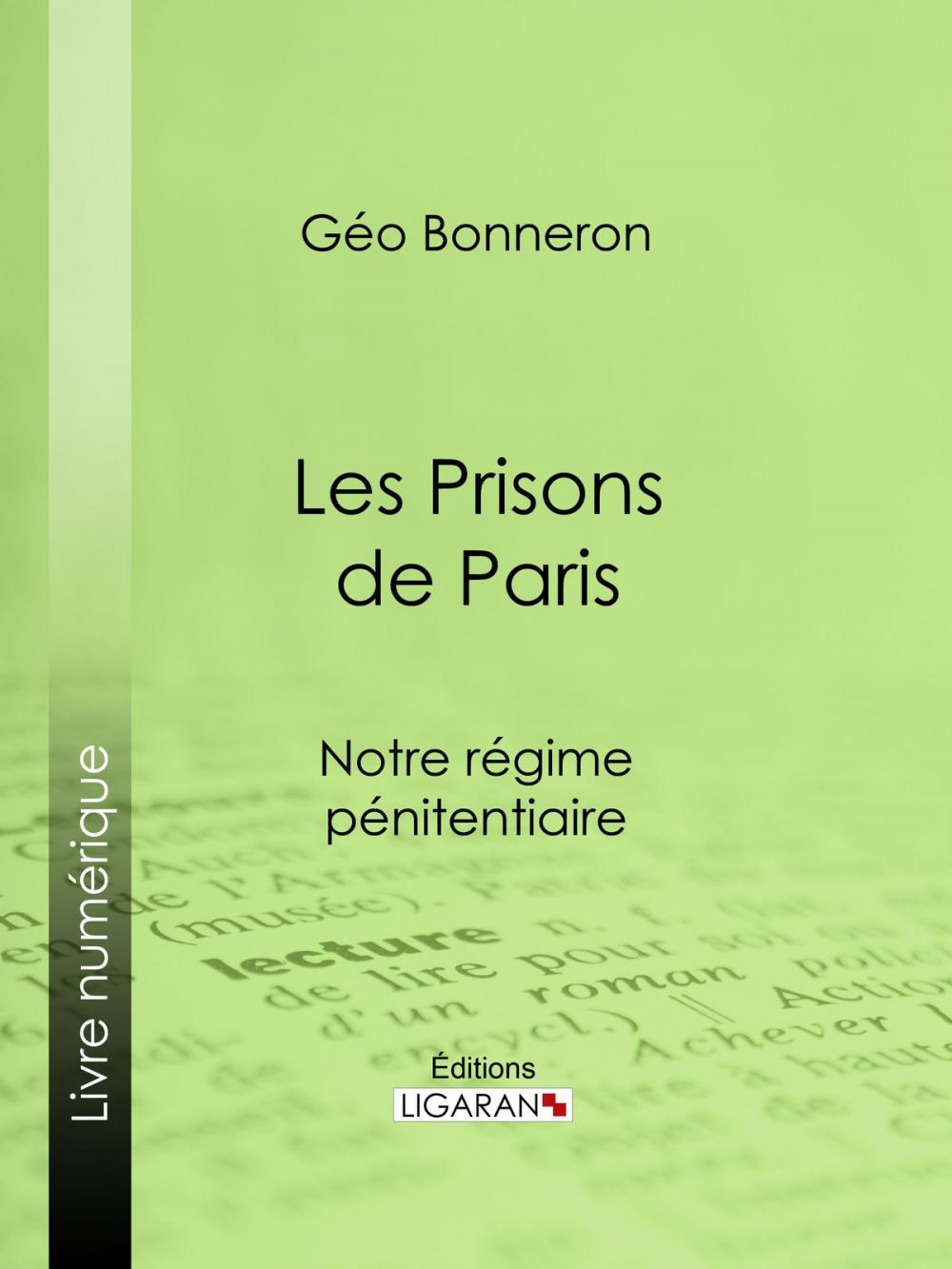 Big bigCover of Les Prisons de Paris