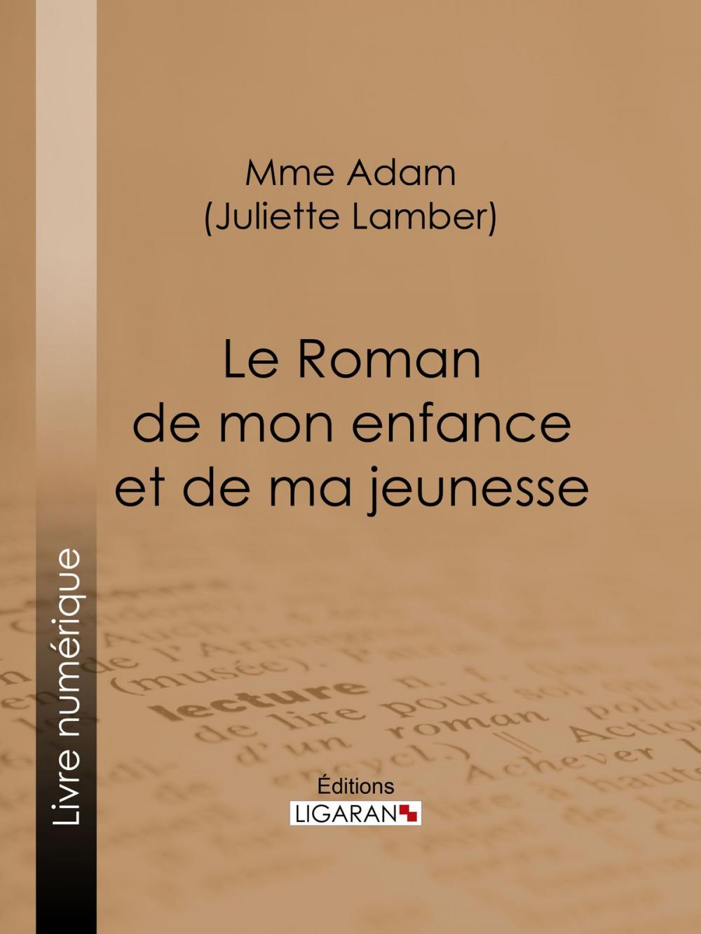 Big bigCover of Le Roman de mon enfance et de ma jeunesse