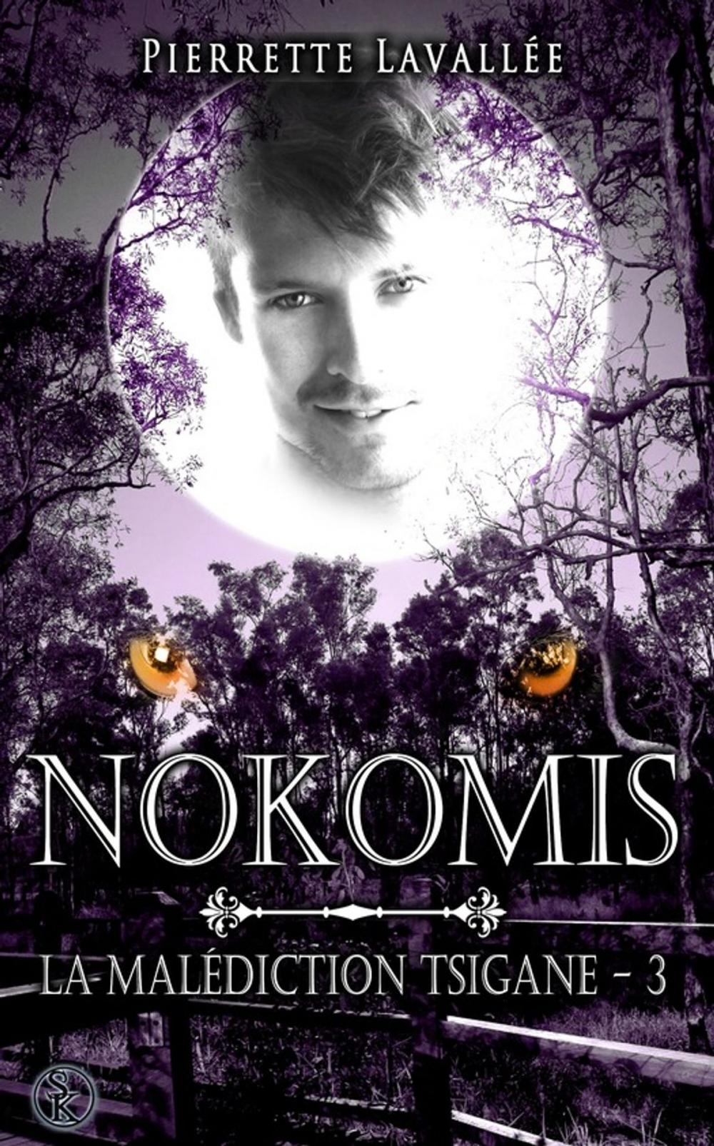 Big bigCover of Nokomis