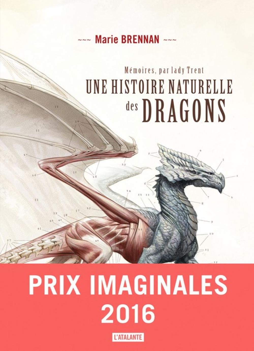 Big bigCover of Une histoire naturelle des dragons