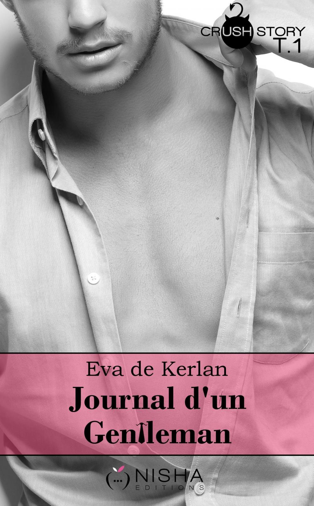 Big bigCover of Journal d'un gentleman - tome 1