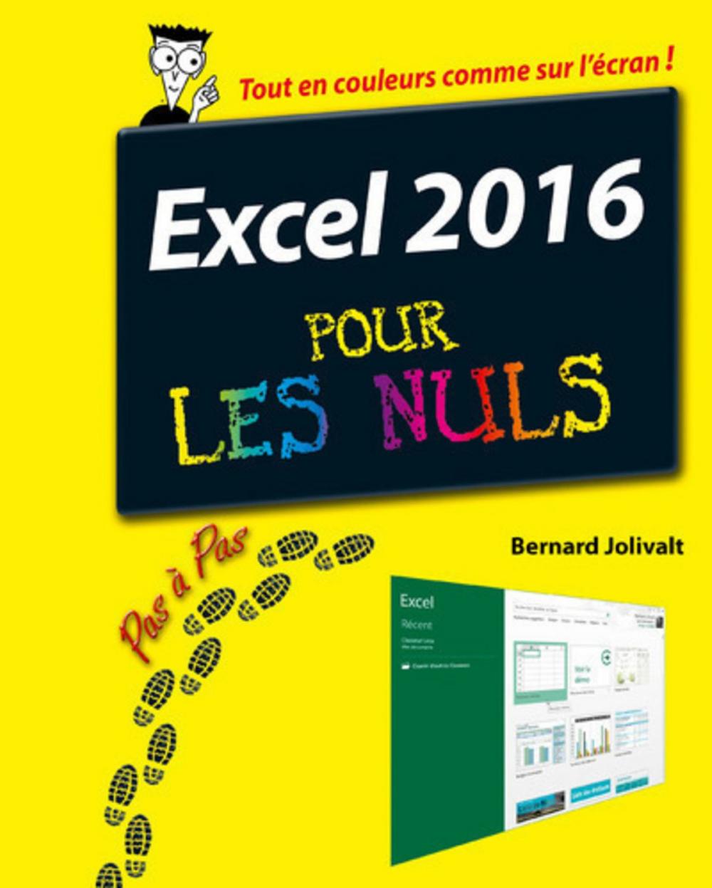 Big bigCover of Excel 2016 Pas à pas pour les Nuls