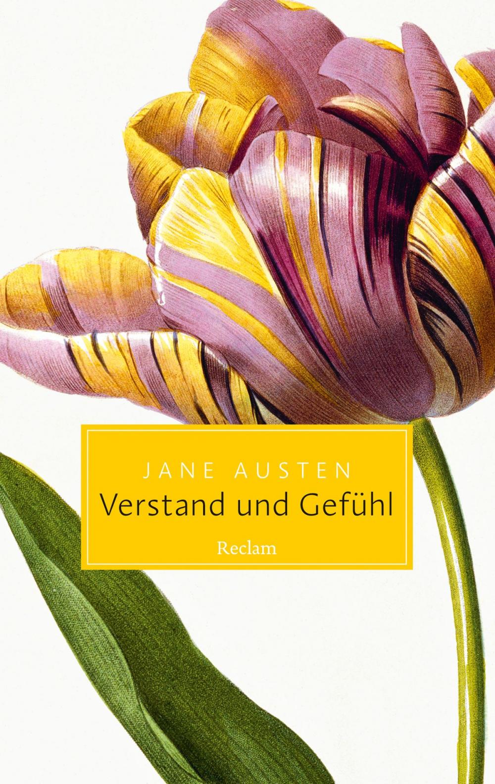 Big bigCover of Verstand und Gefühl