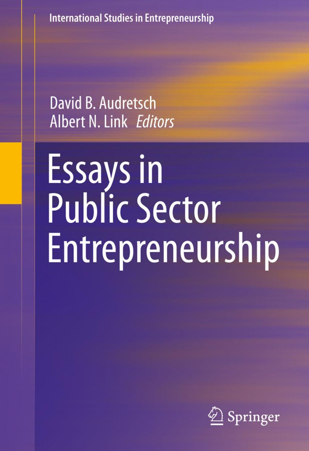 Big bigCover of Essays in Public Sector Entrepreneurship