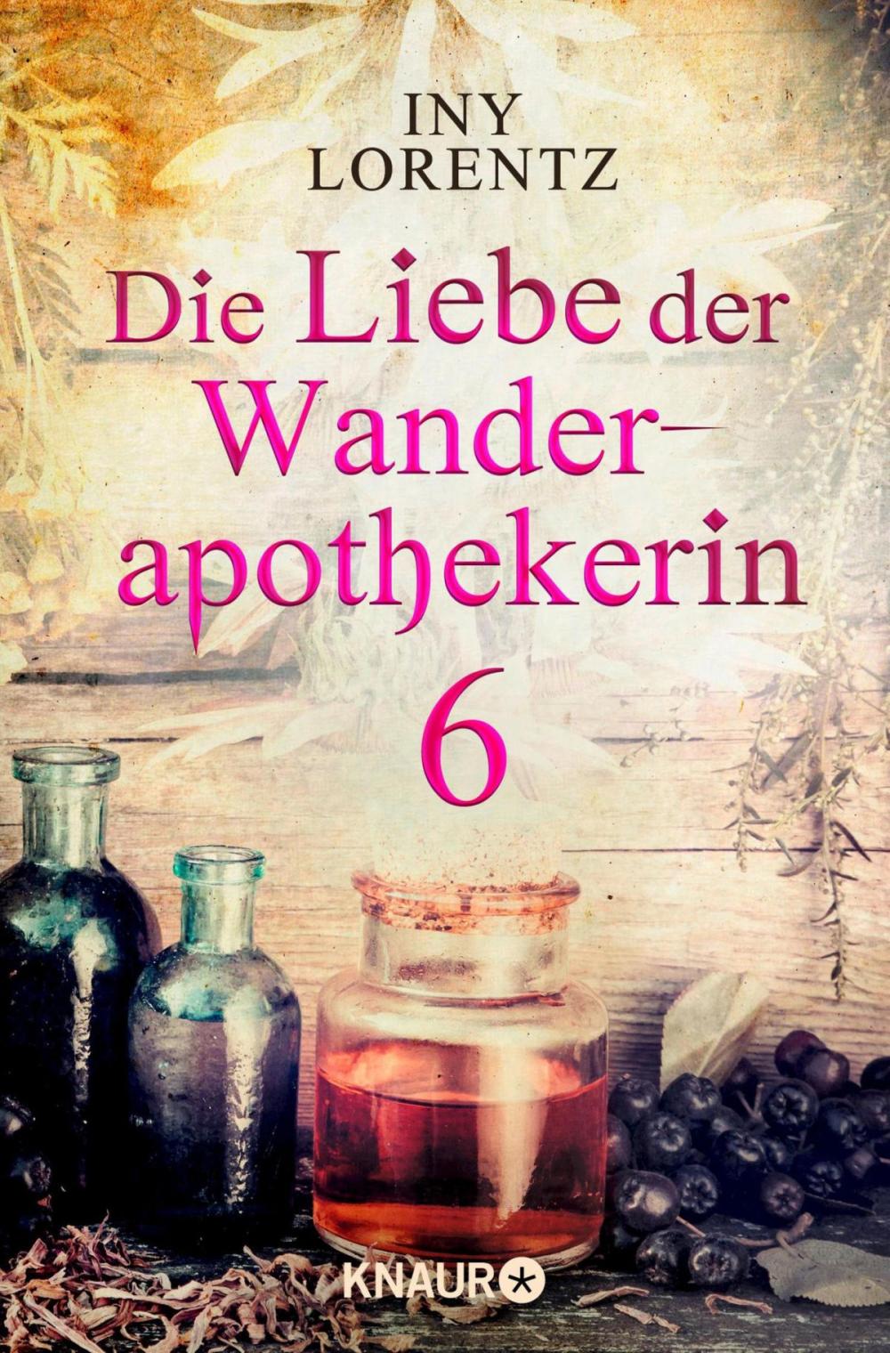 Big bigCover of Die Liebe der Wanderapothekerin 6