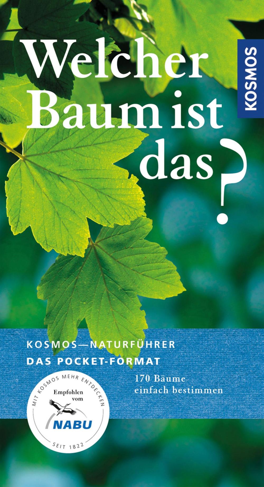 Big bigCover of Welcher Baum ist das?